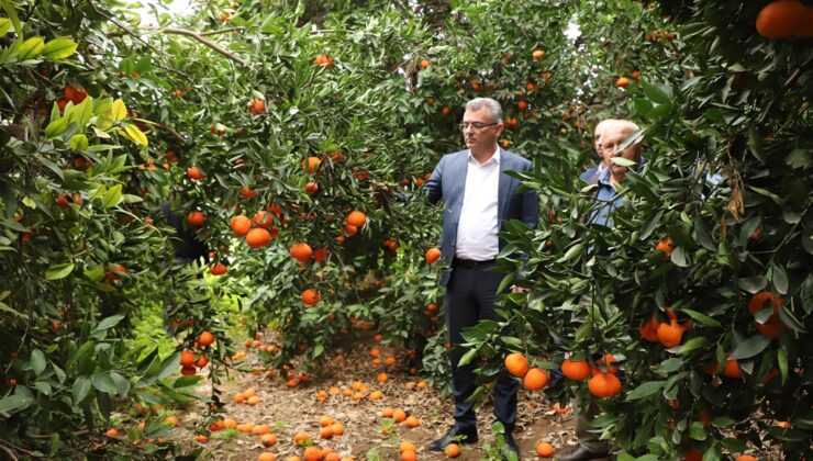 Erhürman: Üreticiyi korumak için ada sathında planlama yapılması gerekiyor