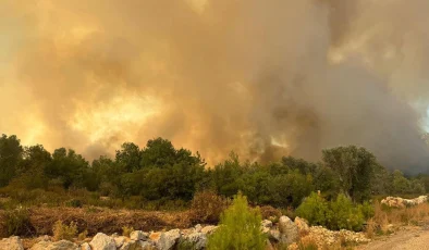 Antalya’da ormanlık alanda çıkan yangına müdahale ediliyor